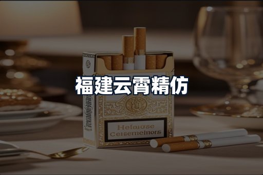 福建云霄精仿